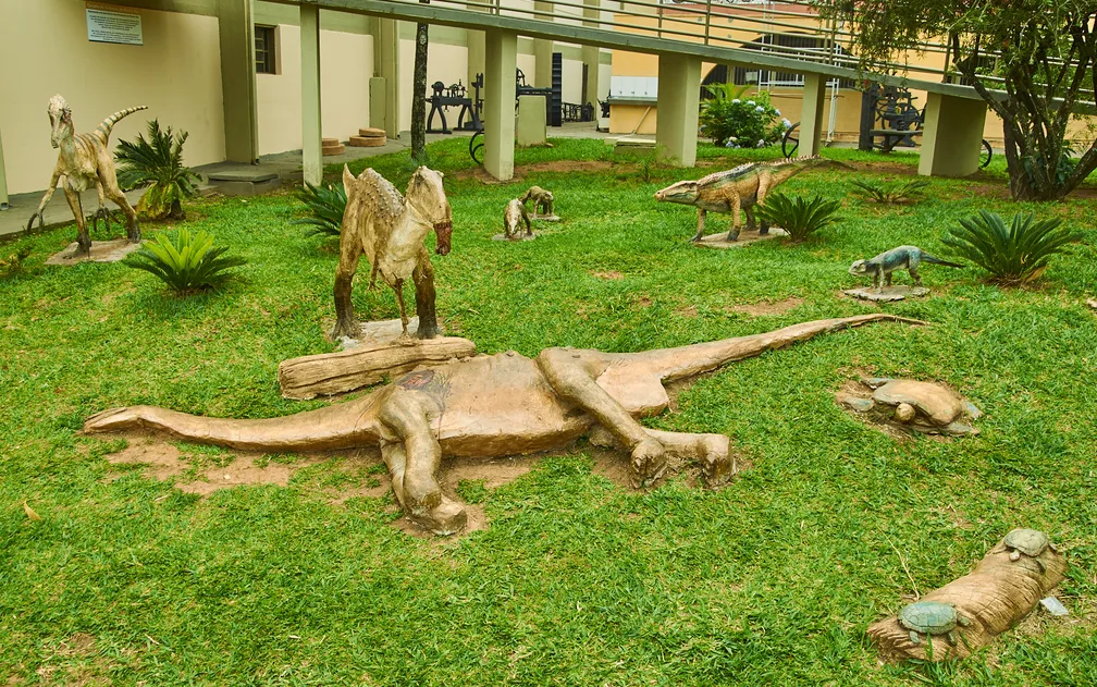 Répteis em recinto arborizado em Monte Alto, SP.